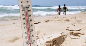 Cele mai importante efecte pe care canicula le poate avea asupra ta și a mediului tău înconjurător